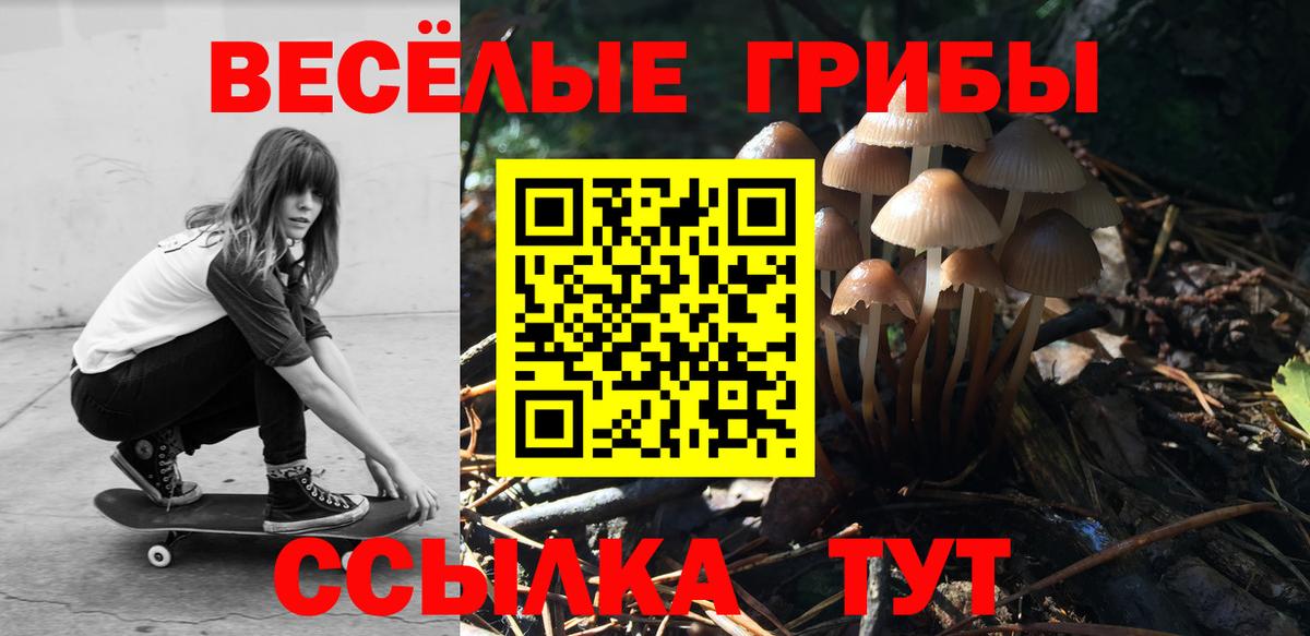 Галлюциногенные грибы Magic Shrooms Полысаево
