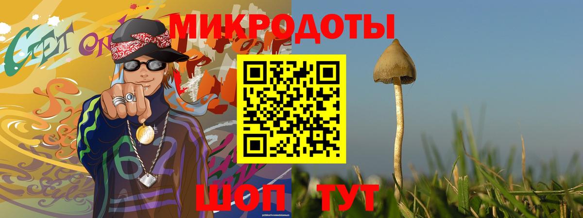 Галлюциногенные грибы мухоморы  Галлюциногенные грибы Cubensis  Полысаево  Вход с VPN 